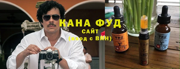 мдпв Каменногорск