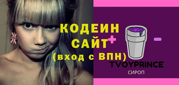 эйфоретик Каменка