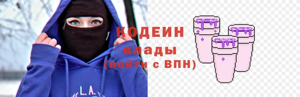 мдпв Каменногорск