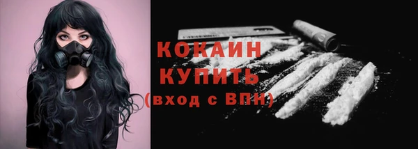 мдпв Каменногорск