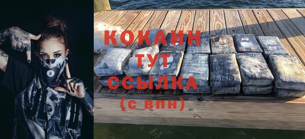 мдпв Каменногорск