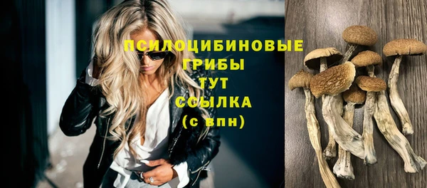 мдпв Каменногорск