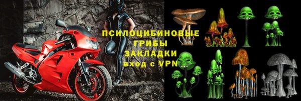 эйфоретик Каменка