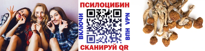 Галлюциногенные грибы Magic Shrooms  купить наркотики сайты  Элиста 
